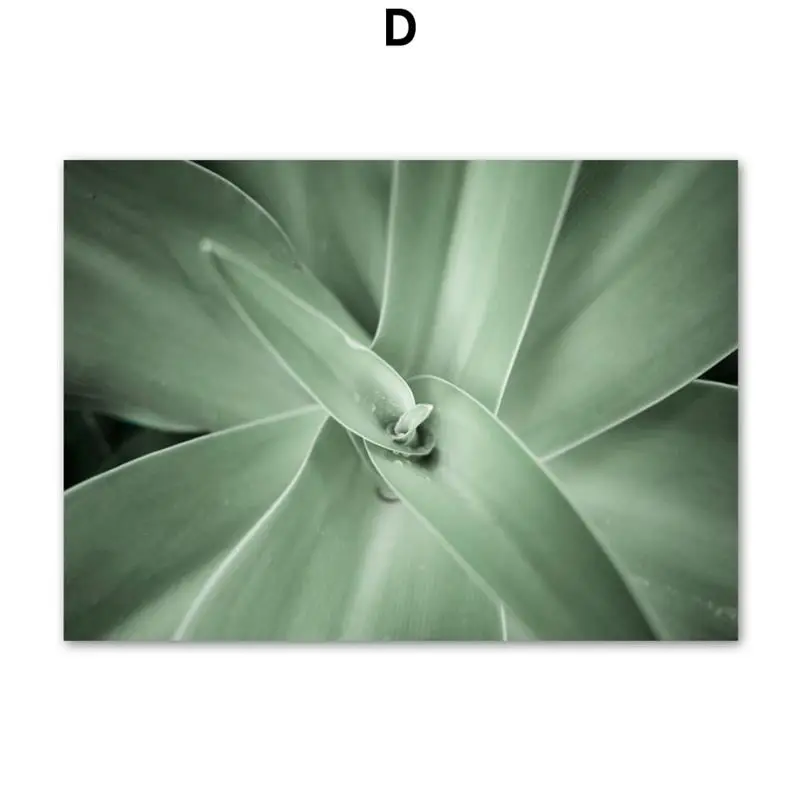 Wall-Art-Canvas-Painting-Cactus-Agave-Plant-Leaves-Abstract-Lines-Nordic-Posters-And-Prints-Wall-Pictures (6)