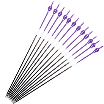 

12pcs Pure Carbon Arrows SPine 300 400 ID 6.2mm Purple Arrows Plastic Vanes Compound Recurve Bow Hunting Shooting Archery