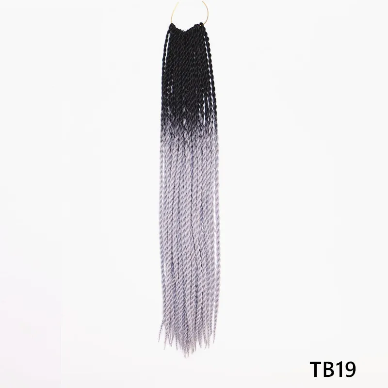TB19 Fashion DIY Gradient Braided Hair Headwear Dreadlocks Women Synthetic Fiber Braiding Wig - Цвет: TB19
