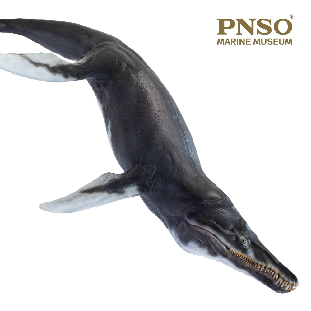 PNSO MARINE MUSEUM JEFF THE KRONOSAURUS 1:35 SCIENTIFIC ART MODEL