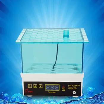 

Home Use Mini Fully Automated Egg Incubator Small Hatching Chicken AU Plug