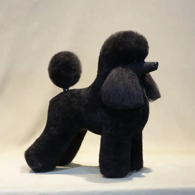 oodles of poodles grooming