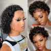 Short Curly Human Hair Wigs