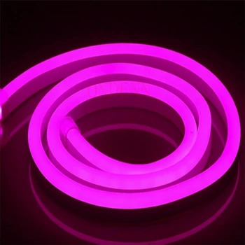 

Brand NEW 220V 240V LED Neon Flex for Indoor or Outside Lighting 16mm*8mm a lot LED Neon Light High Quality Neon Lamp 1M 5M 10M