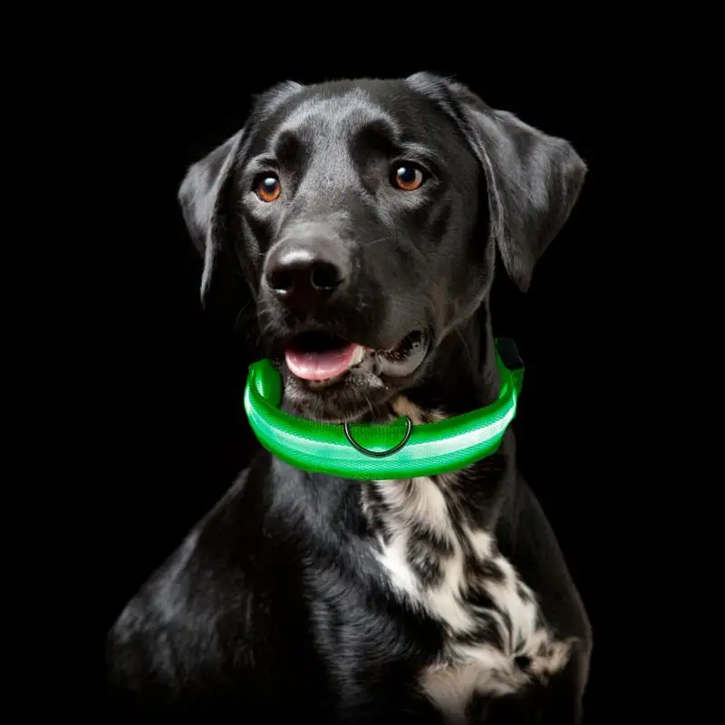 LED Pet Dog Cat Collar Luminous Safety Glow Necklace Flashing Lighting Up Collars For Puppy Cat Pet Supplies Cat Collars