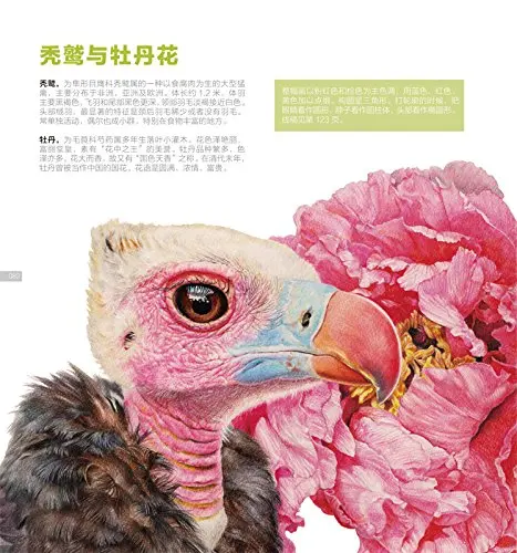 African-Flowers-painted-bird-color-pencil-drawing-books-pencil-sketch-tutorial-hand-painted-color-illustration (4)