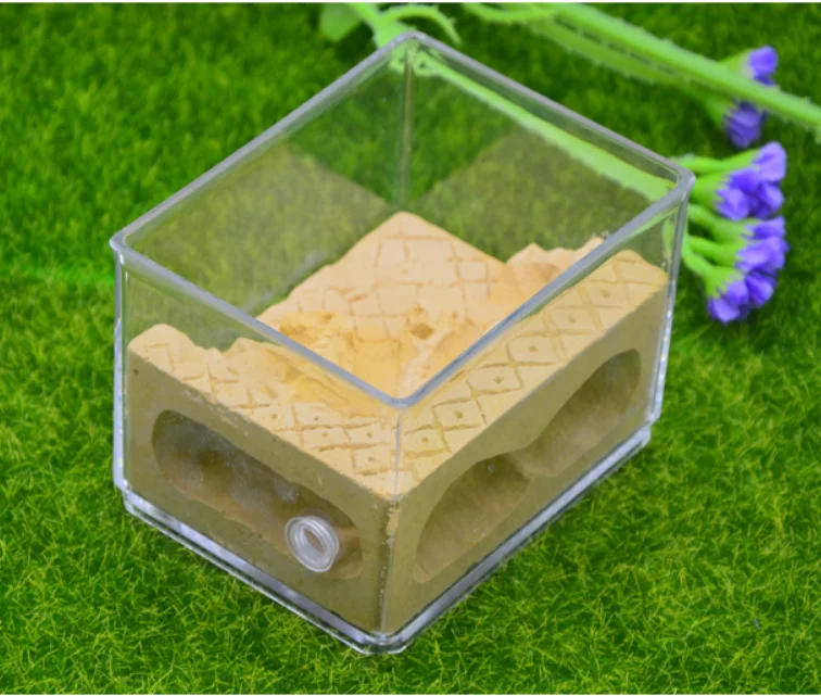 Новая экологическая штукатурка муравьиная ферма квадратное гнездо Ландшафтный дом муравей Муравьиное гнездо мастерская муравейник ящик для насекомых 10,3*7,6*7,5 см