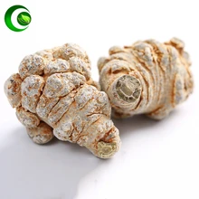 

San Qi- Tian Qi- Radix Notoginseng Panax Notoginseng Pseudoginseng Powder