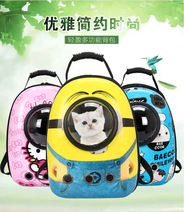 10629082322_345777210