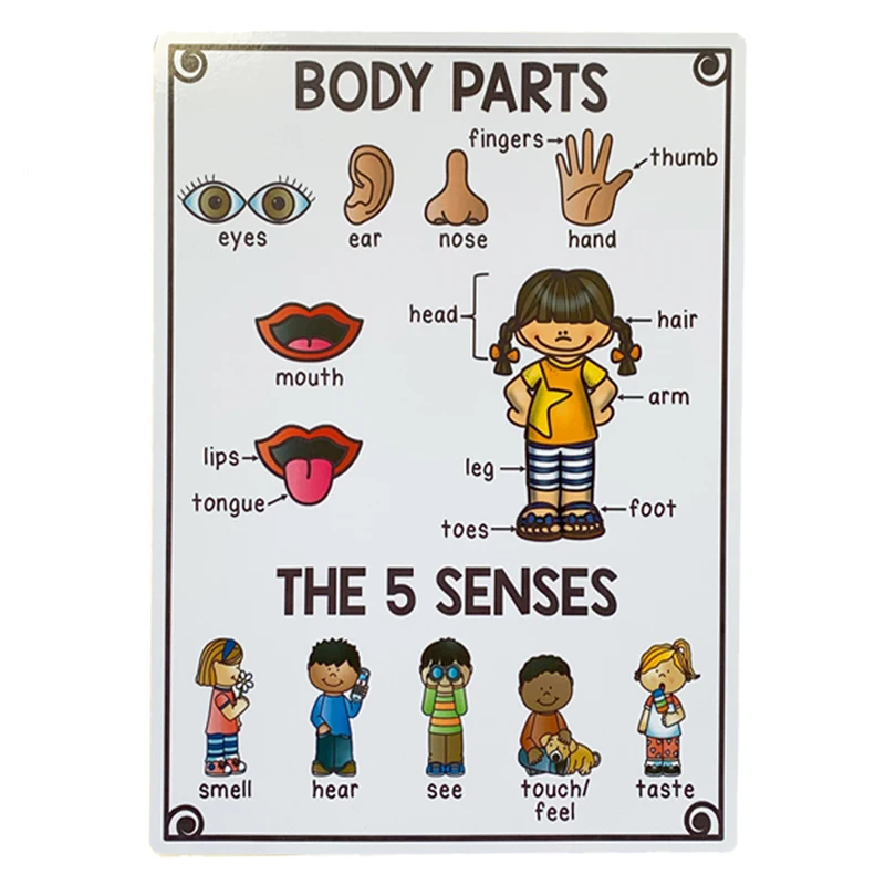 

20Groups/Set A4 Size Cognition English Words Card Cartoon Poster Mind Map Early Learning Education Classroom Decoration Teacher
