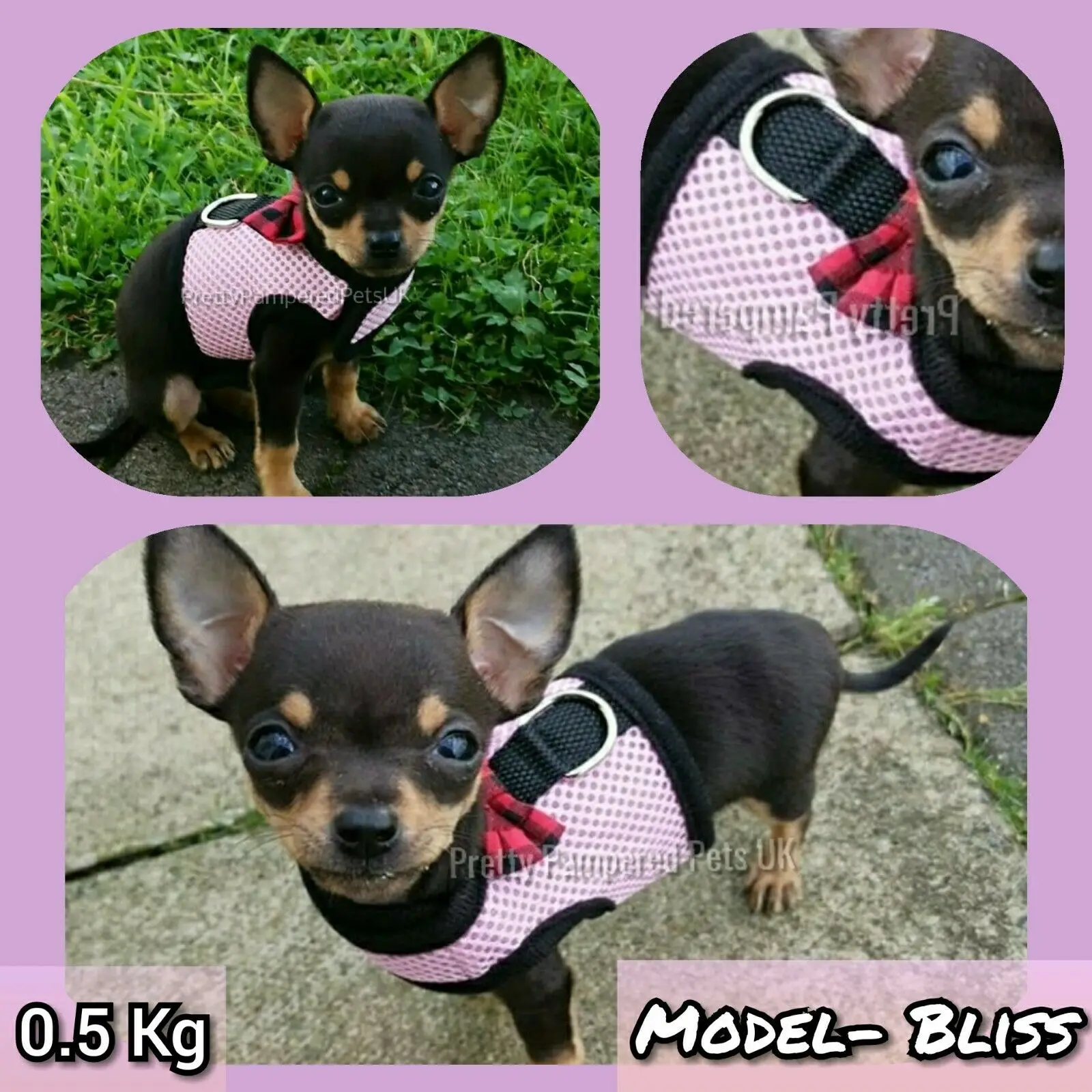 Pet Harness Set Pet Harness Leash Set Pet Leash Set XXXS XXS XS Puppy Dog Teacup Chihuahua Harness Lead Mesh Vest for Tiny Kitty Cat Yorkie Maltese Rabbit Kitten Harness Vest