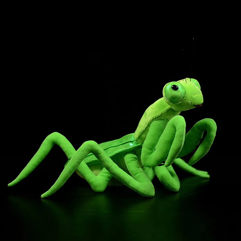 Lifelike Chinese Mantid Plush Toys Real 