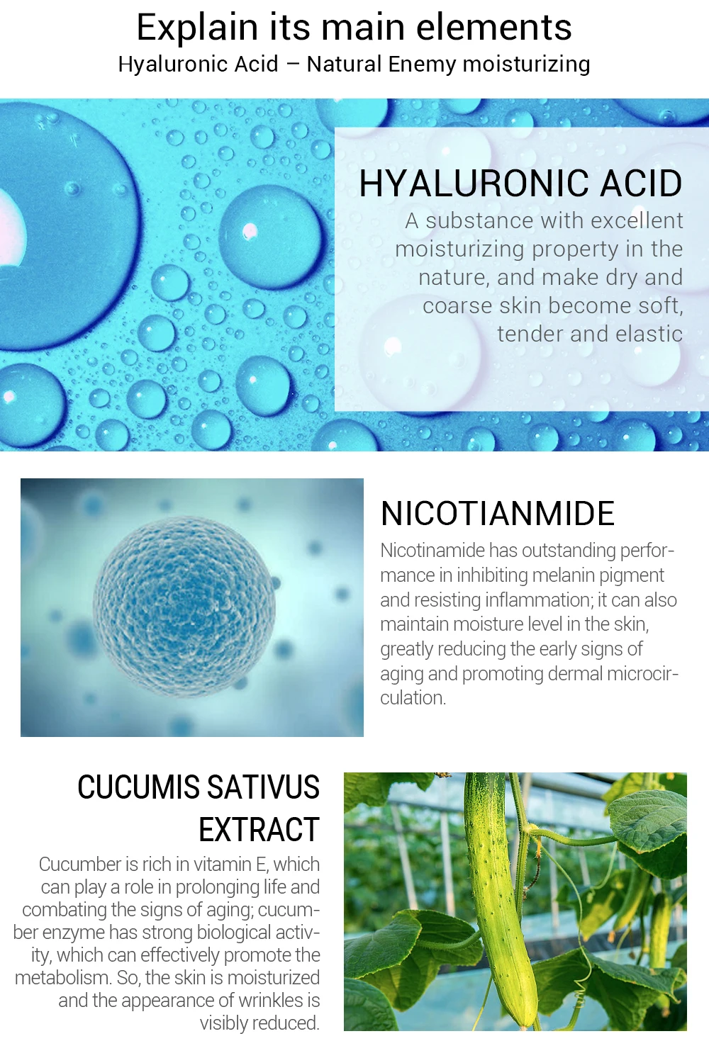 蓝蓓娜玻尿酸眼膜_04