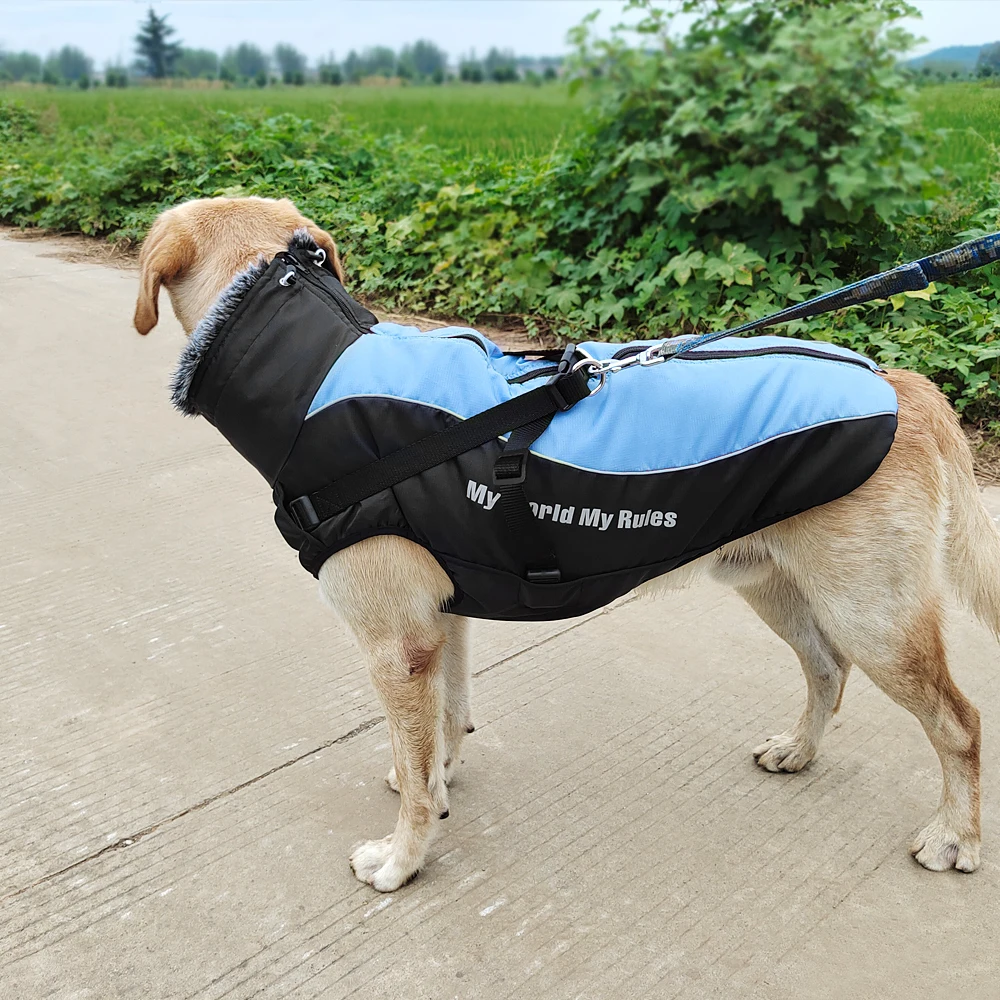 Dog Jacket with Harness | Waterproof Jacket for Large Dog | Big Windproof Coats