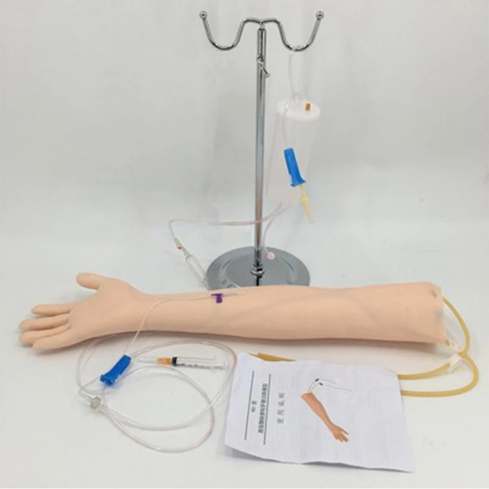 Life Size Anatomical Phlebotomy Venipuncture Practice Arm anatomyInjection practice Medical Simulator Nurse Training kit