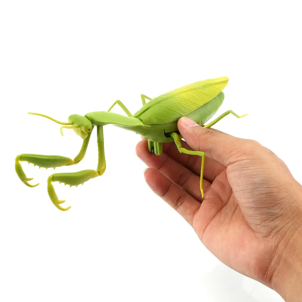 Control remoto eléctrico por infrarrojos, simulación de Mantis en forma de juguete de broma, Mini juguete realista RC Mantis insecto truco aterrador para niños
