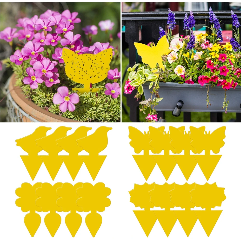 4/16pc amarillo fuerte moscas trampas pegajosas insectos volando trampas para atrapar áfidos plagas al aire libre de la mosca de fruta por hongo insectos doble trampas