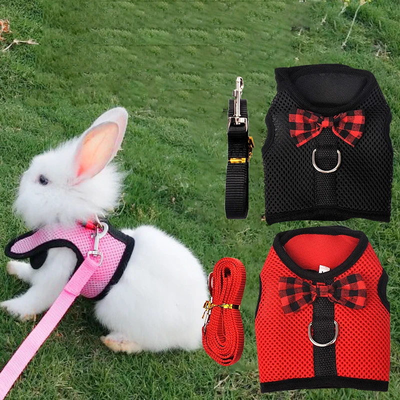 Arnés pequeño de malla para mascotas, correa de pecho para conejos, Guinea y hámster, chaleco con arnés para mascota, transpirable y suave, correa para caminar para gatito, S/M/L