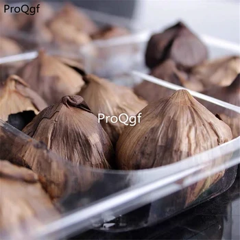 

Ngryise 30Pcs A Set black garlic
