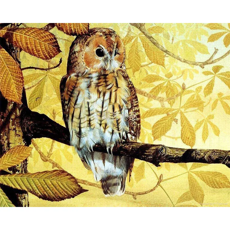 GATYZTORY DIY HandPainted Oil Painting Paint By Numbers For Adults Children Owl Picture Colouring Unique Gift Home Decor | Дом и сад