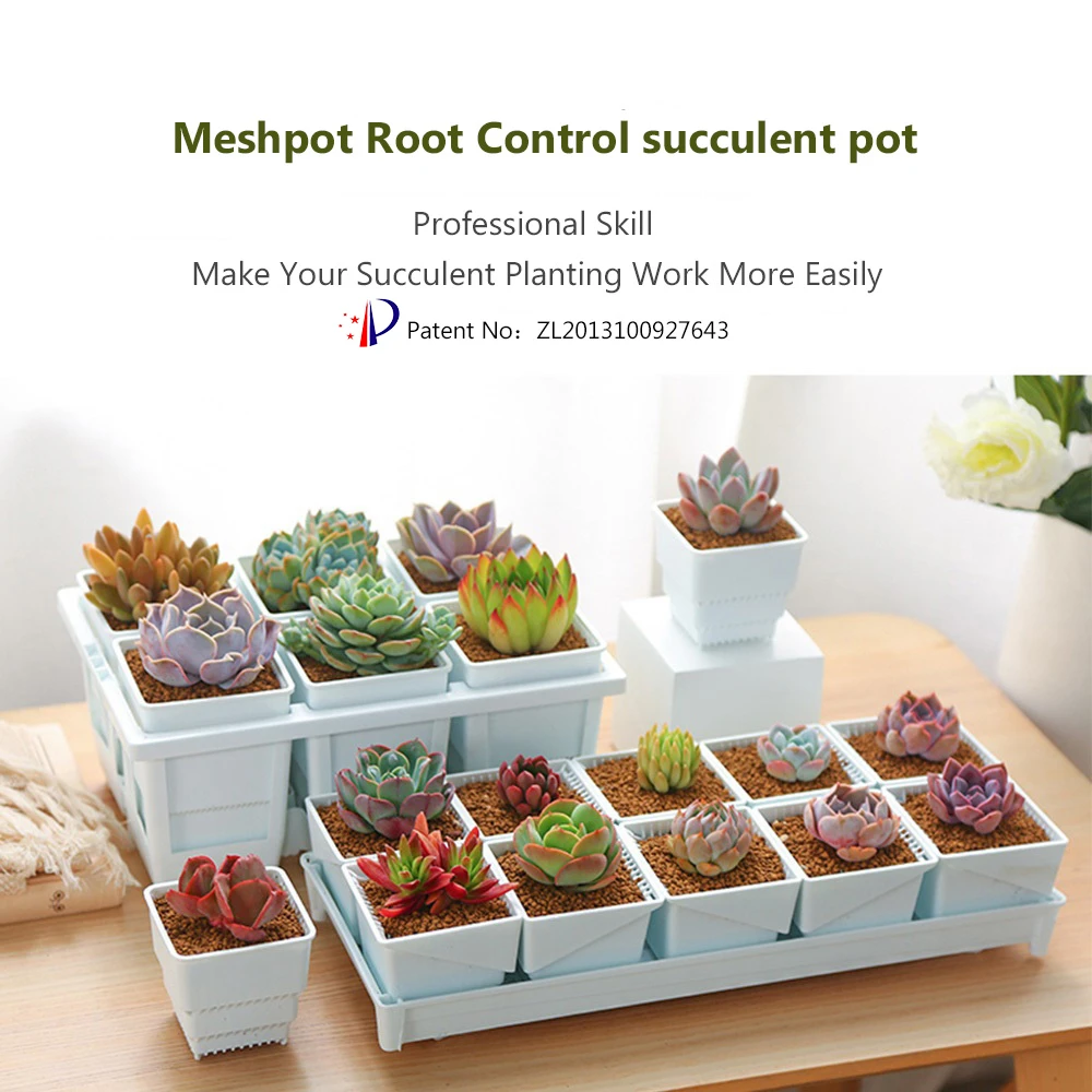 Meshpot Square Plastic Succulents Planter Pots With Tray Set,Nursery Pot  Cactus Plant Pot Garden Pot|Flower Pots & Planters| - AliExpress