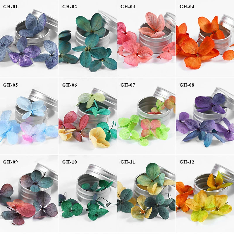 Гам-BELLE 12 Цветов 5 шт./кор. нейл-арта натуральные сухие цветы комплект Гель-лак наконечник 3D «сделай сам» с цветочным орнаментом и нейл-арта