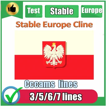 

Special for Poland Europe 3/5/7 lines HD AV Cable for Satellite Receiver Cccam lines of 1 year DVB-S2 Europe clines for Free Sat