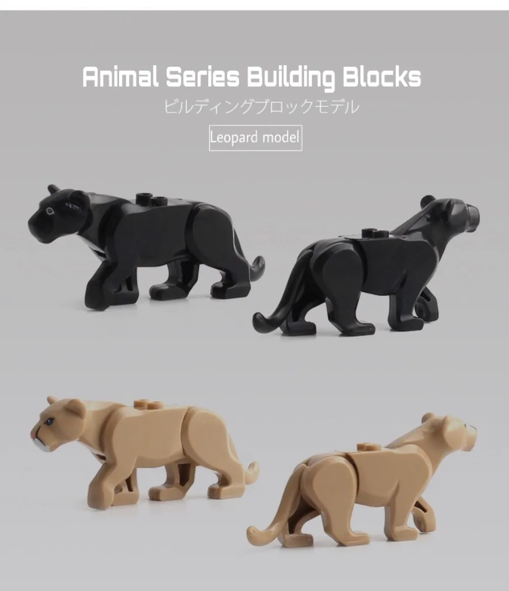 IMG_6813(20200713-140506)