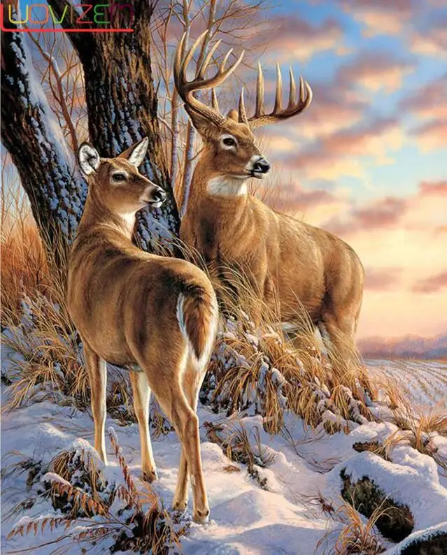 

Full Square 5D DIY Diamond Painting "deer" 3D Embroidery Cross Stitch Mosaic Rhinestone Home Decor Drop Ship
