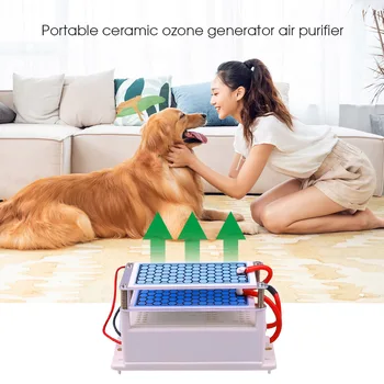 

Mini Portable Ceramic Ozone Generator Air Purifier Double Integrated Long Life Ceramic Plate Ozone Sterilization Ozonator