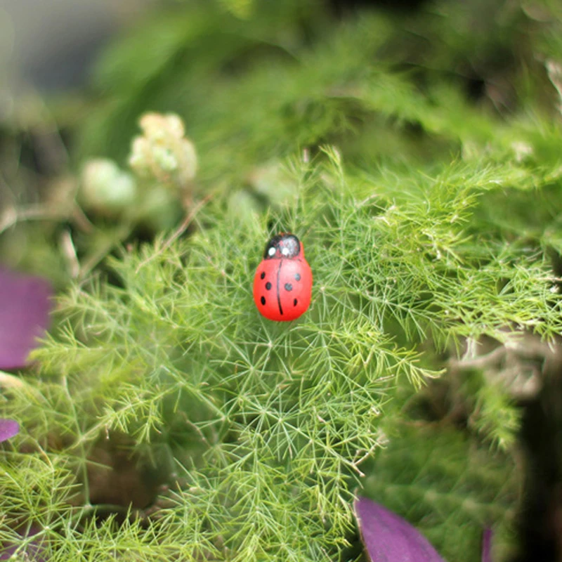 10Pcs Mini Ladybird Red Beetle Ladybug Fy for Doll House Garden Decor Ornament