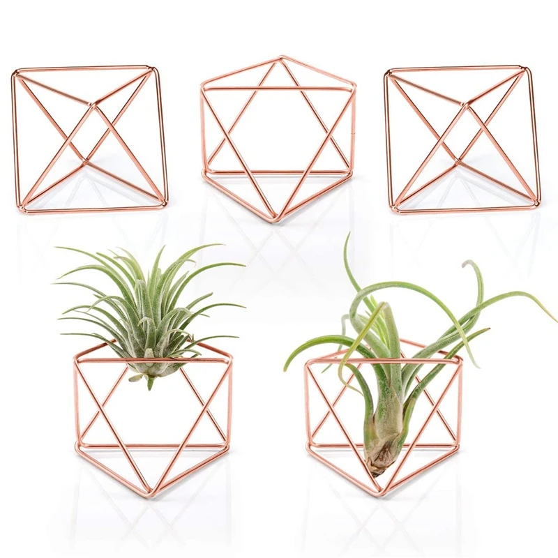 

5 Pcs Air Plant Holder Mini Metal Tabletop Decor Modern Geometric Planter Tillandsia Air Fern Display Stand Decoration