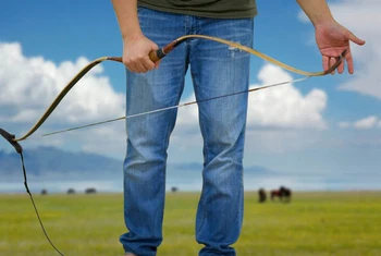 

2m Outdoor Hunting Archery Arrow Bow String Bowstring Install Tool Rope Cord