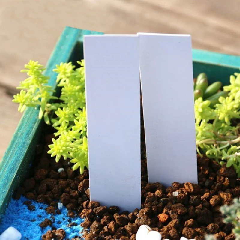 100Pcs/lot Garden Plastic Plant Labels Labels Tray Plant Tags Nursery Markers Flower Pots Seedling Mark Tools Garden Decor 1*5cm Plant Tags