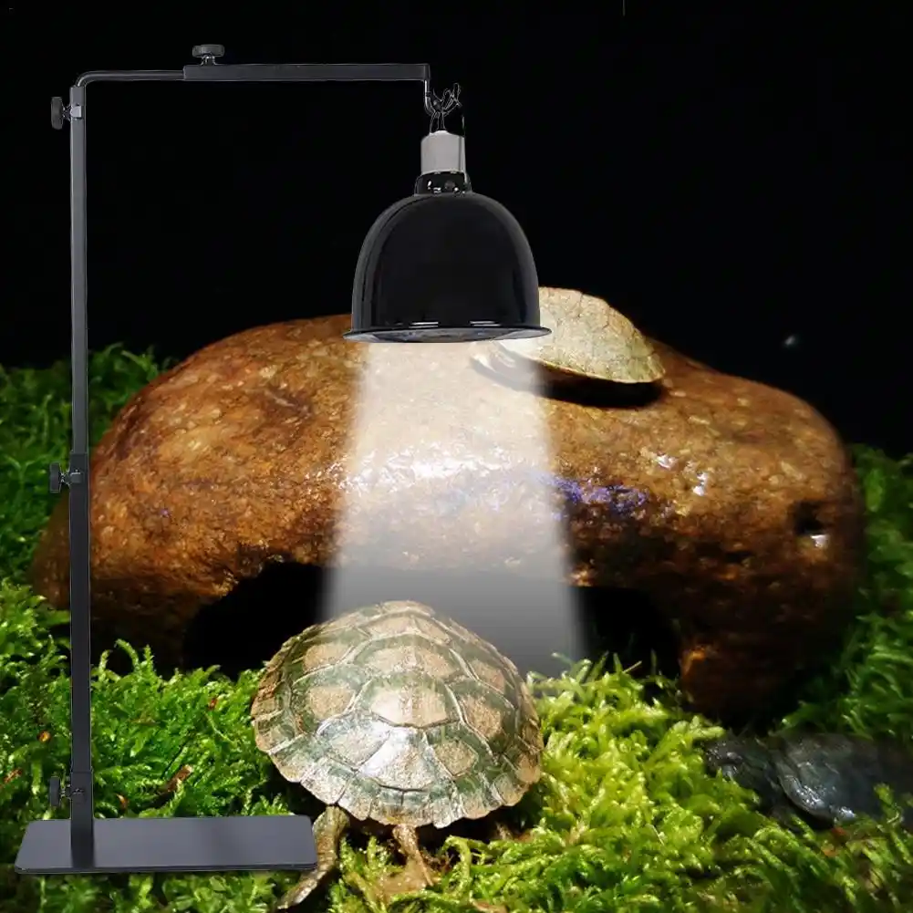 reptile heat lamp stand