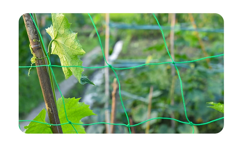 O1CN018Vz6Dw1JMuXrGo6vU_!!1602131015