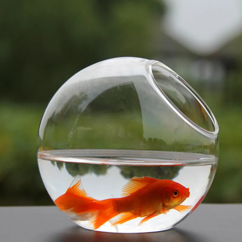 Стеклянный шар диаметр = 20 см|home decoration glass|home glass decorationsterrarium ball |
