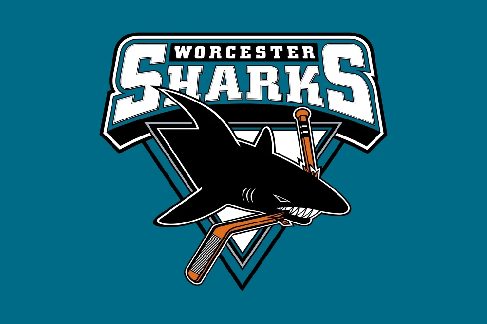 Worcester Sharks Utica Comets флаг баннер ahl с модифицированным флагом США 3ft X 5ft полиэстер летающий размер 90X150 см - Цвет: Worcester Sharks
