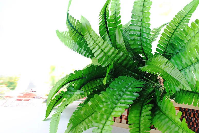 QQ图片20190713102702_副本