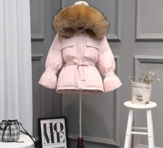 Pink 3 Большого размера, натуральный мех воротник зимняя куртка Для женщин Куртка–пуховик на 90% белом утином пуху модные Короткое пальто плюс Размеры парка с капюшоном, верхняя одежда - Цвет: Pink 3