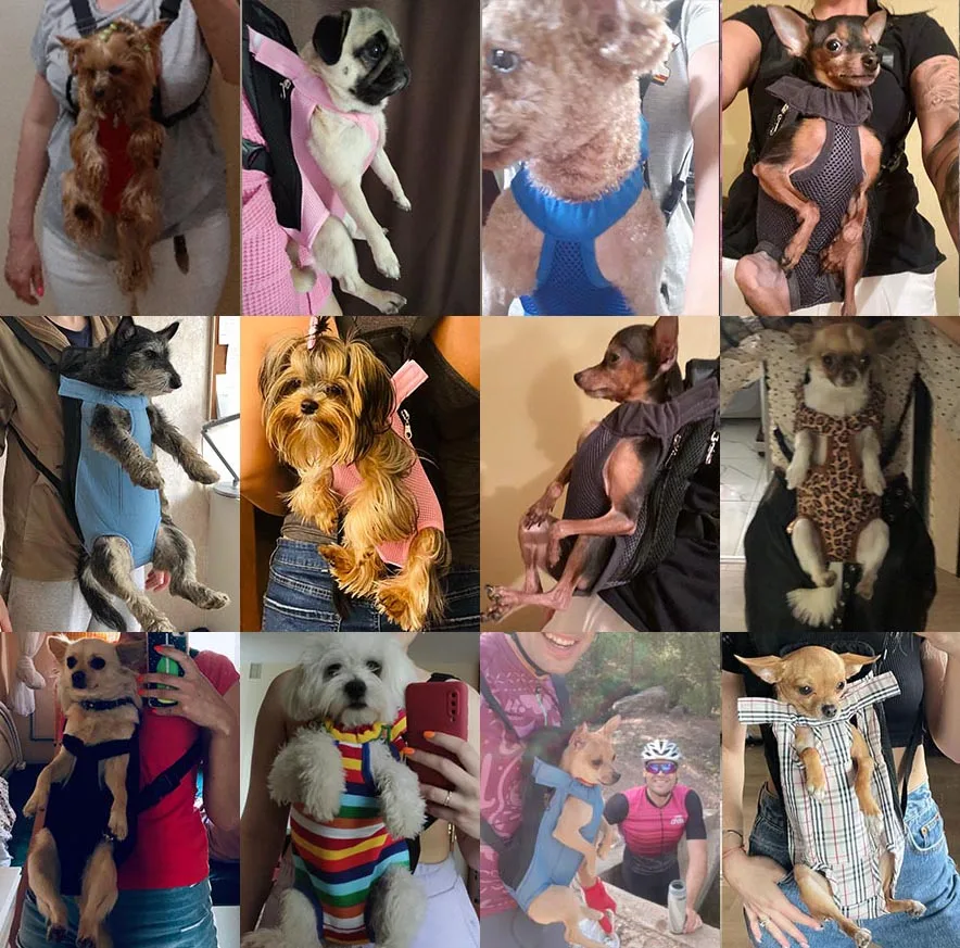 Breathable Pet Dog Mesh Carrier Backpack Outdoor Travel Products Camouflage Bags For Small Dog Cat Chihuahua Mesh Backpack pet carrier backpack