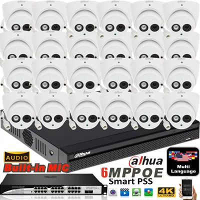 mutil язык Dahua 24ch NVR4232-4ks2 H.265 NVR сетевой видеорегистратор с 24 шт. купольная IP аудио камера IPC-HDW4631C-A - Цвет: with poe switch