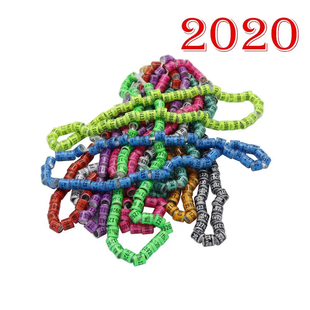 2020 Multicolor Pigeon Foot Ring With Word Earrings Quality Durable Bird Ring Pigeon Racing Rings Bird Training Tool 100 Pcs|Bird Training| - AliExpress