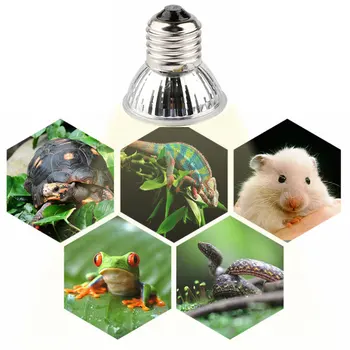 

BRELONG UVA + UVB 3.0 Pet Reptile Lamp UV Auxiliary Heat Lamp Amphibious Lizard Temperature Controller LED Heating Bulb 75W