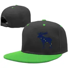 Хип-хоп бейсбольная Регулируемая Кепка штат Аляска животное Американский Лось флаг мальчики-девочки, KellyGreen, один размер