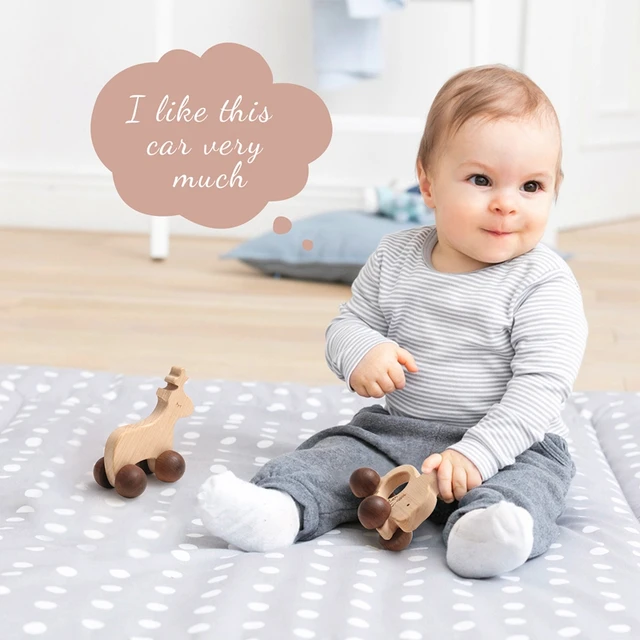 Baby Newborn Wooden Toys 1Pc Maple Wood Animals Cars Montessori Creative Educational Building Blocks Infant Teething Birth Gifts 6
