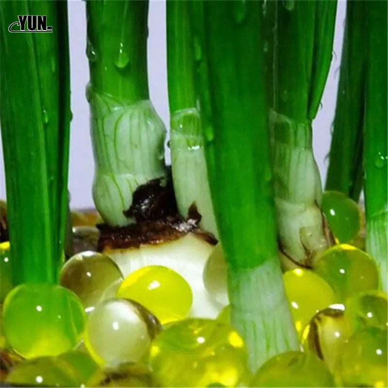 New 10000pcslot Colored Gun Toys Orbeez Soft Crystal Water Paintball Grow Balls Water Gun Bullet Grow Water Beads 5Z (24)