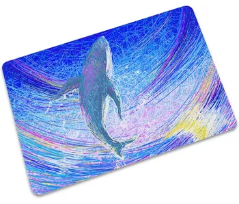 

CAMMITEVER Cartoon Rugs Washable Entrance Doormat Floor Mat Kitchen Carpet Outdoor Corridor Rug Front Door Entry Mats