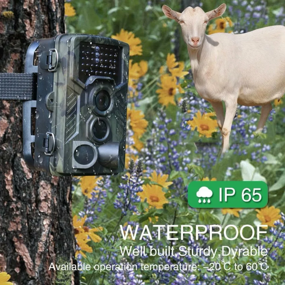 HC800A 16MP 3 ШТ ПИР Trail охотничья ловушка камера Дикая игра ночное животное термальная