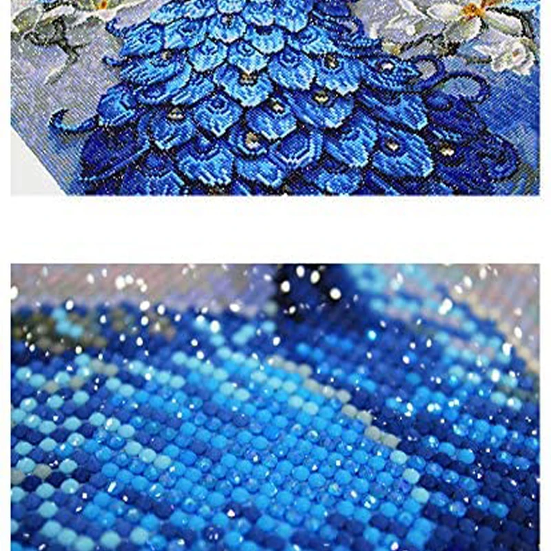 peacock detail